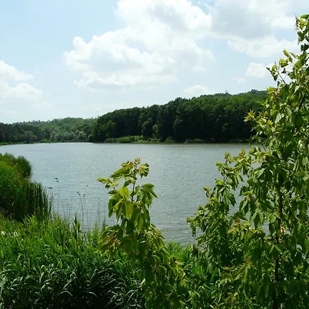 Kantona * Silistra